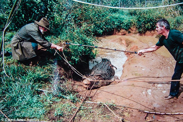 ?? 84? ???, ??? 30?? ?? ??