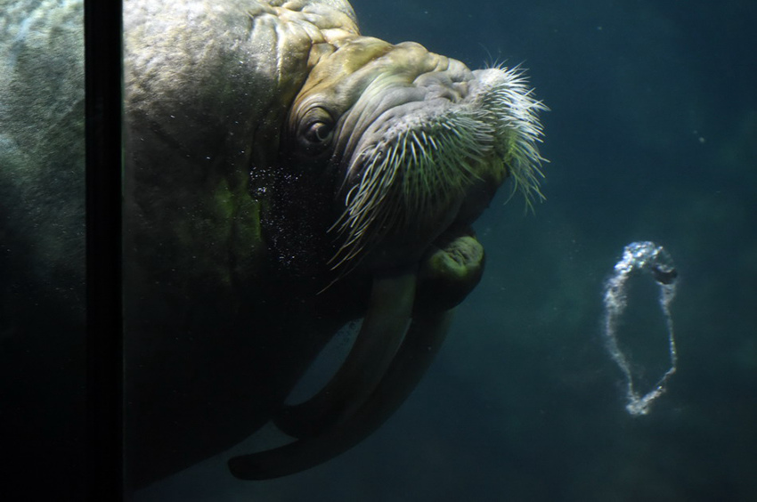 ?? ???? ‘???’ ?????, ‘???? ??’ ??