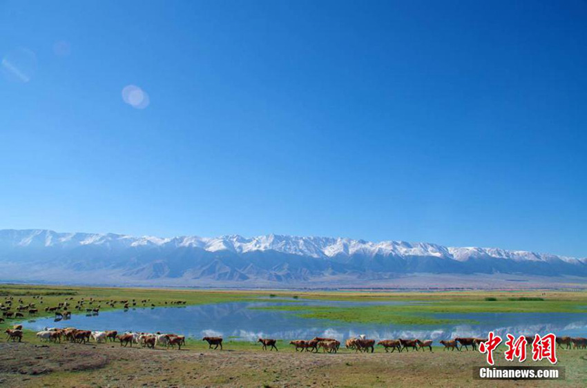 ?? ??? ? ?? ? ? ??…‘? ?? ?? ??’