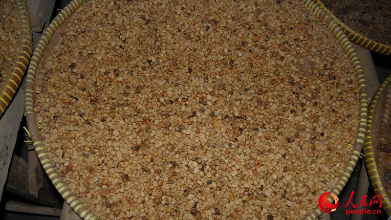 [??? ????? ??] ?????? ‘????? ??’