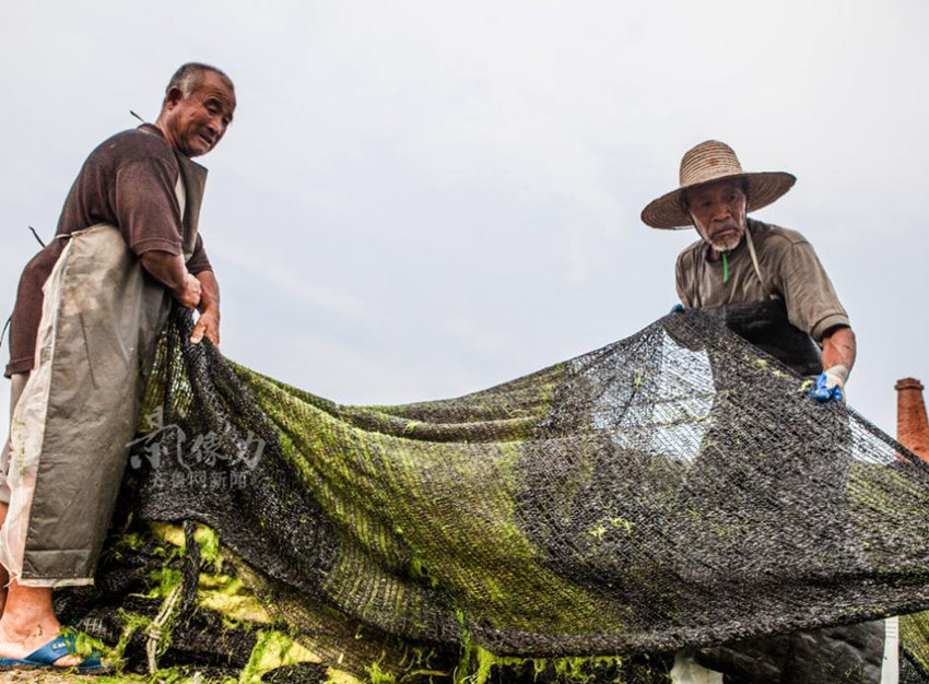 ?? ??? ‘?? ???’? ?? ??