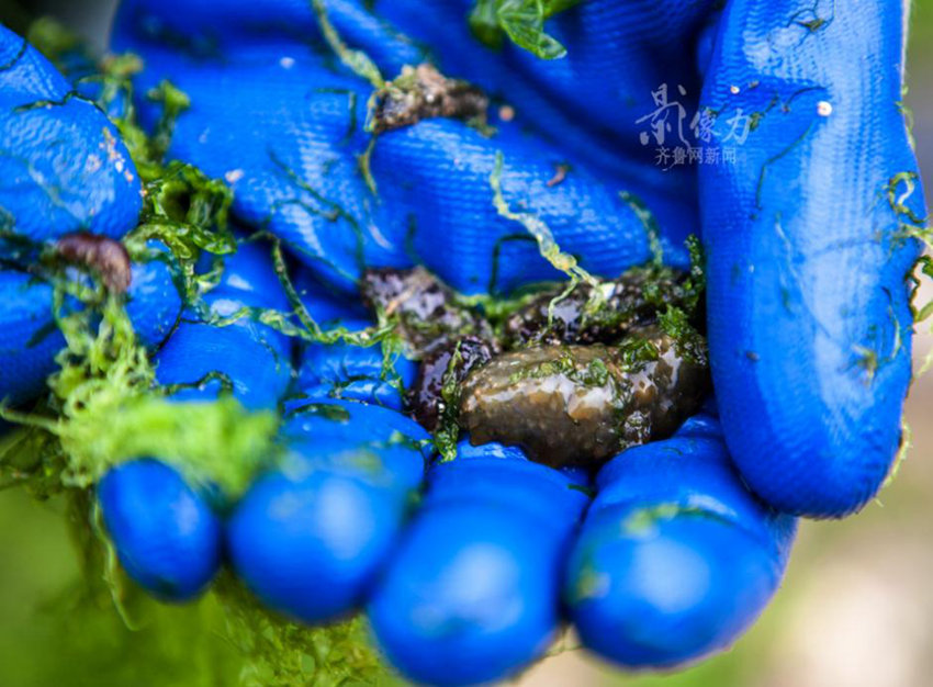 ?? ??? ‘?? ???’? ?? ??