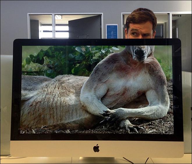 英 ??? ???? ??, ?? ??? ?? ??