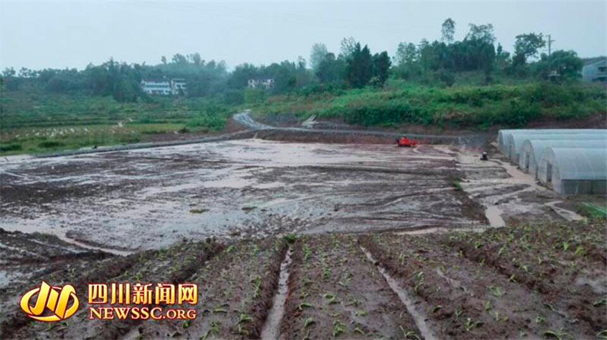 ??? ?? ?? ??…5? ?? ?? ??? ???