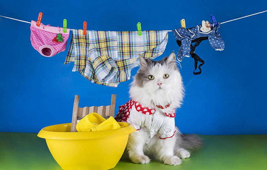 ????? ????? ??? ??? ?? ?? ??