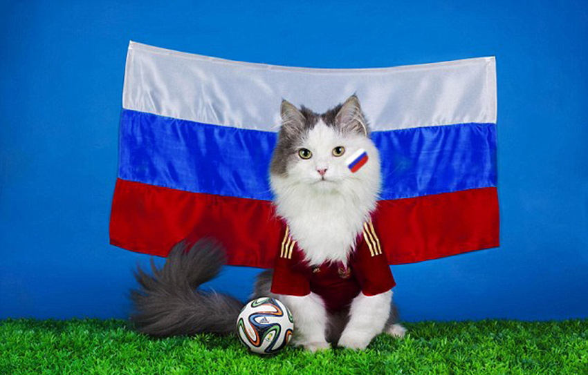 ????? ????? ??? ??? ?? ?? ??