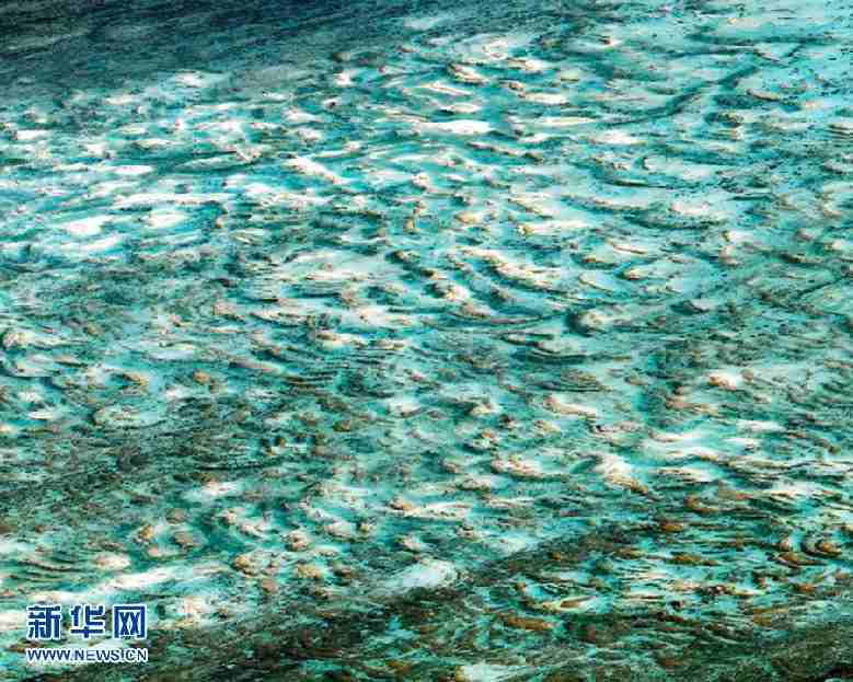 ?? ??(西沙)?? ?? ??, ?? ??? ??? ??