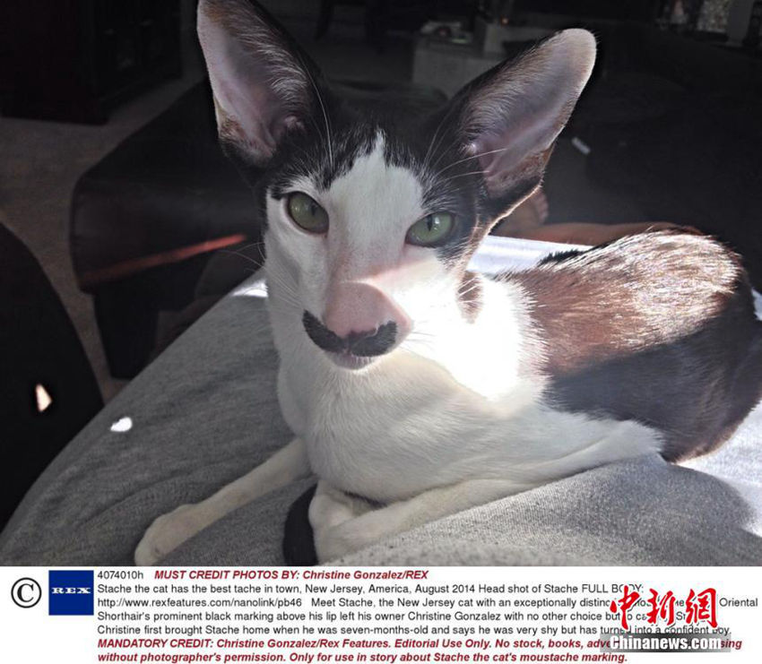 美 ?? ??? ??? ??, ?? ??? ??