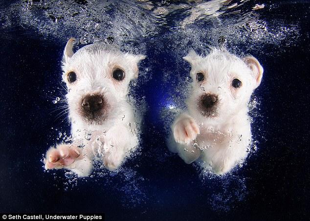 ???? ?? ?? ?? ‘????!’  