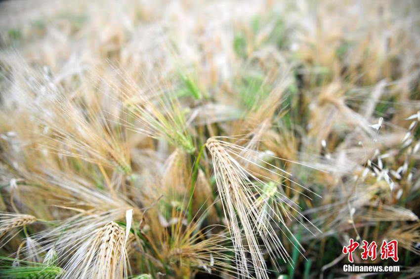 ‘??? ??’ ????? ?? ?? ??