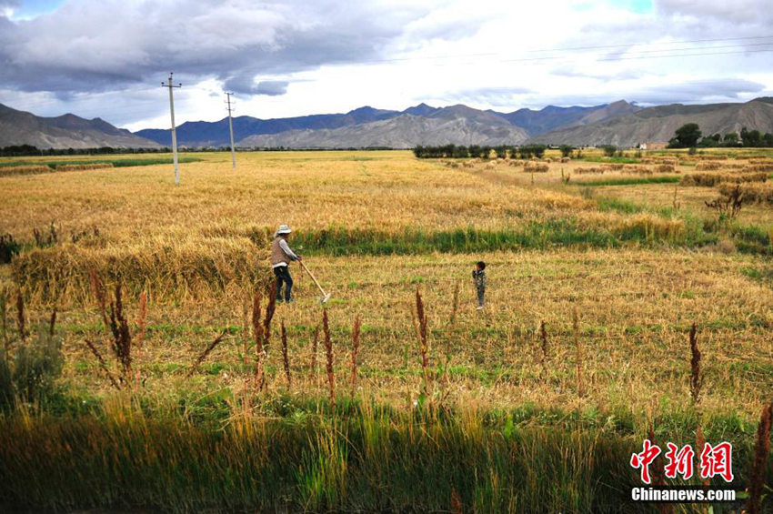 ‘??? ??’ ????? ?? ?? ??