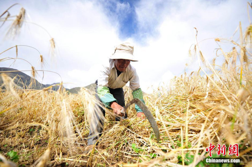 ‘??? ??’ ????? ?? ?? ??