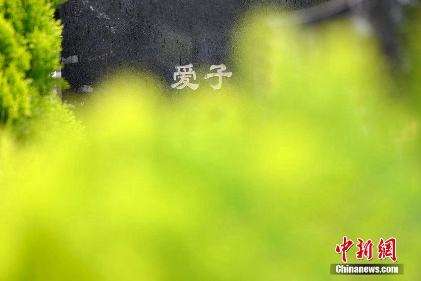 [???? ??] ?? 80後 ?? ??????