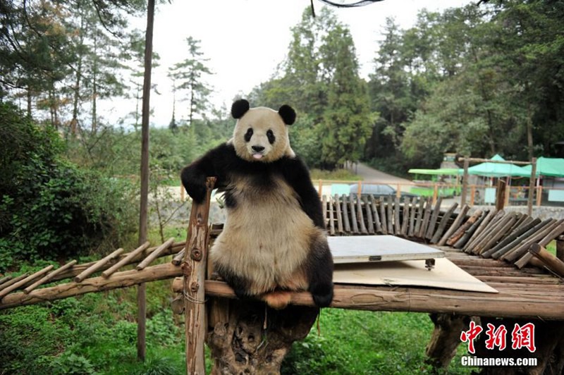 ?? ??? ??… ??, ??? ?? ? ?? ??