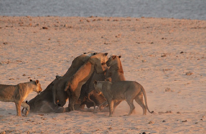 14?? ???? ???? ???…?? ??? 