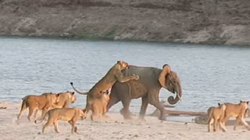 14?? ???? ???? ???…?? ??? 