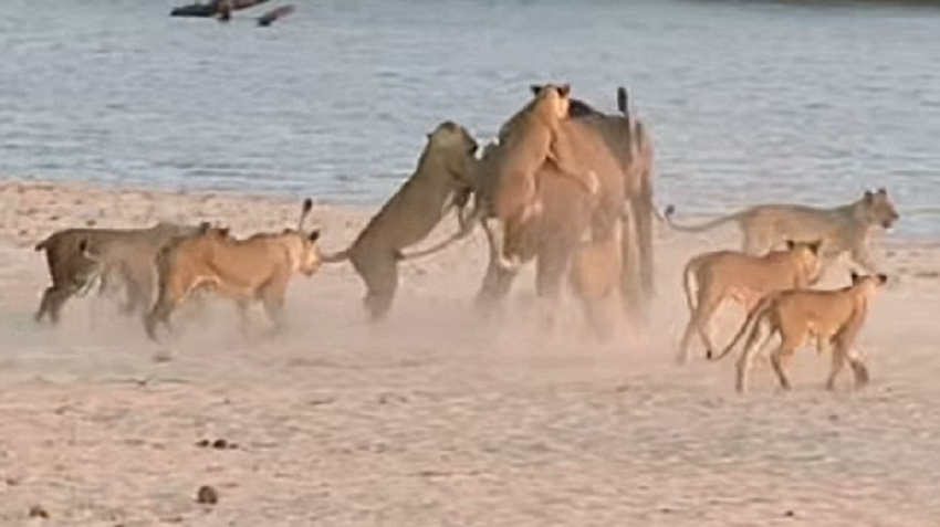 14?? ???? ???? ???…?? ??? 