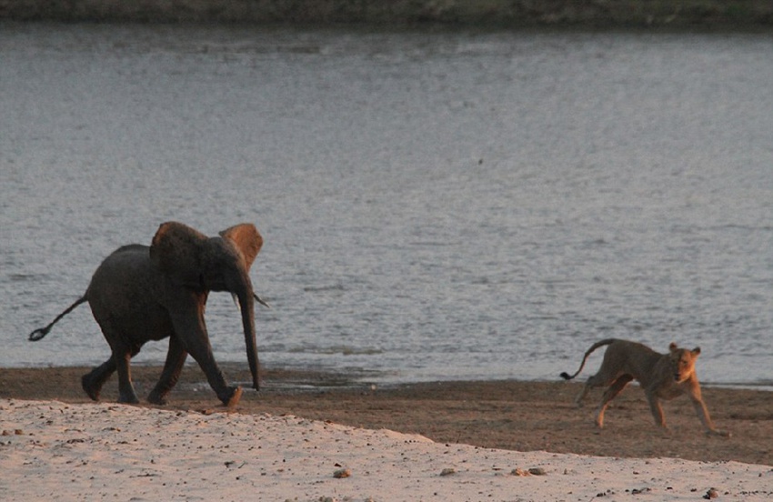 14?? ???? ???? ???…?? ??? 