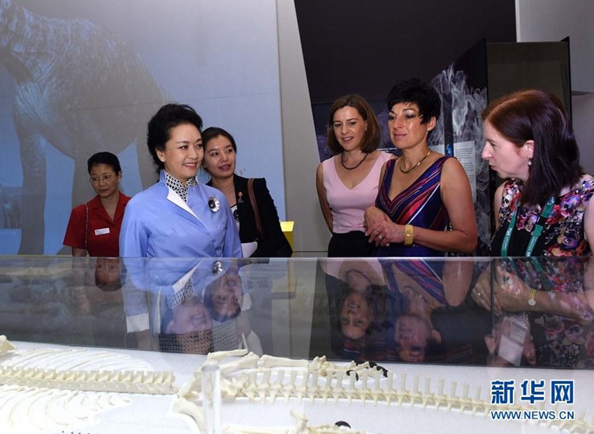 ???? ??, ?? ???? ??? ?? 