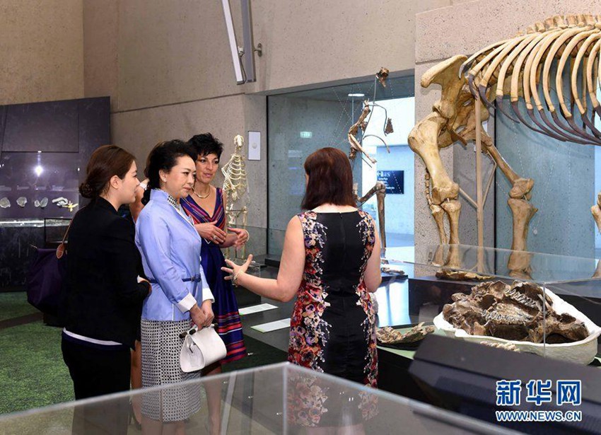 ???? ??, ?? ???? ??? ?? 