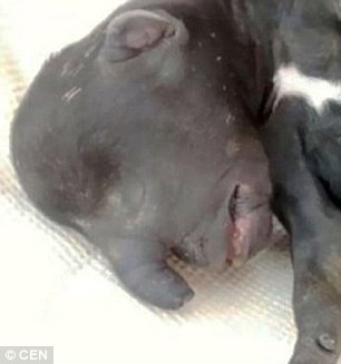 ??? ?? ??, ‘??? ?’ ??? ?? 