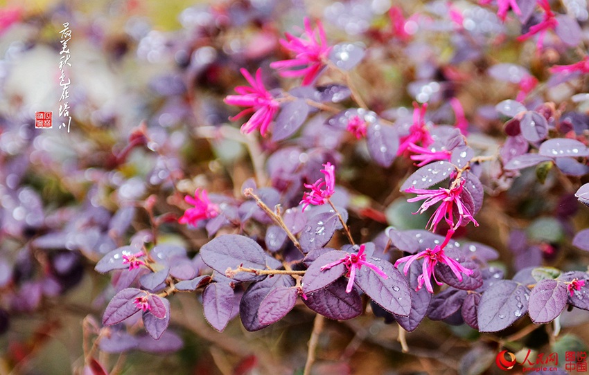 ?? ???? ??? ?? ? ?? ??(塔川) 