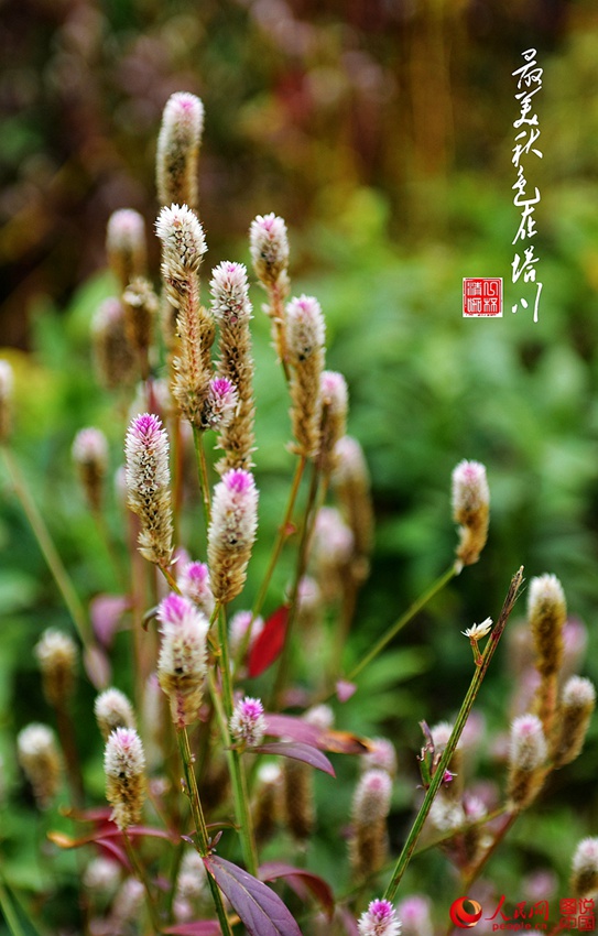 ?? ???? ??? ?? ? ?? ??(塔川) 