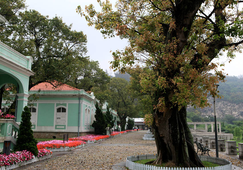 ??? ????: ?????(氹仔島, ??? ?)