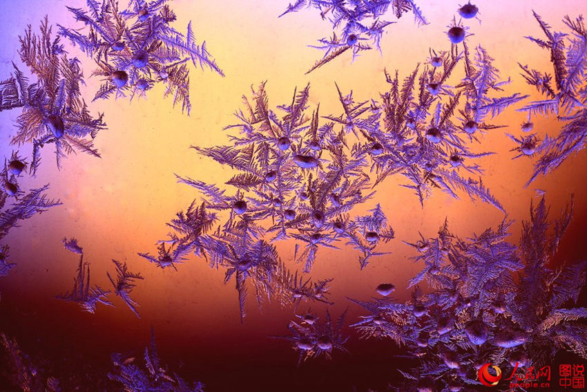 ?? ????? ?? ? ?? ‘???’ ??