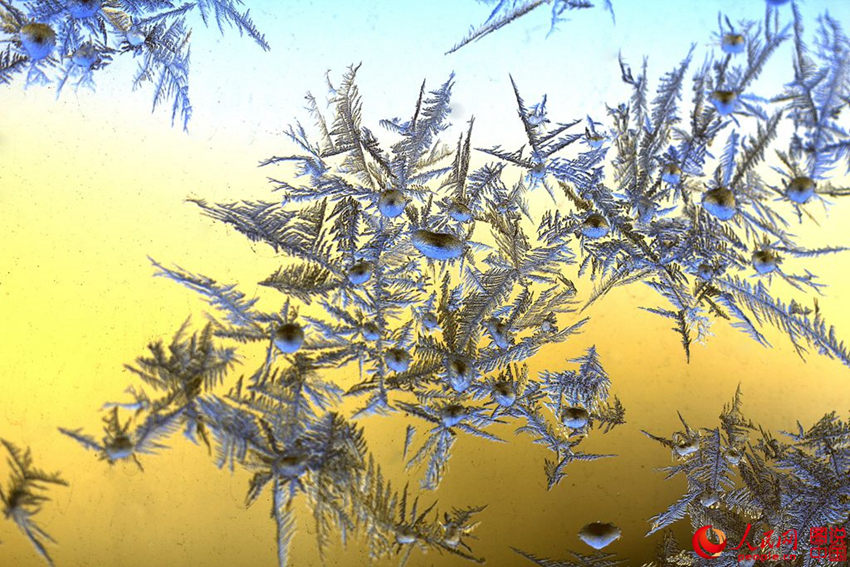 ?? ????? ?? ? ?? ‘???’ ??