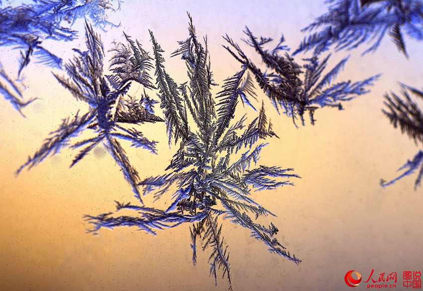 ?? ????? ?? ? ?? ‘???’ ??