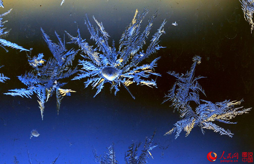 ?? ????? ?? ? ?? ‘???’ ??