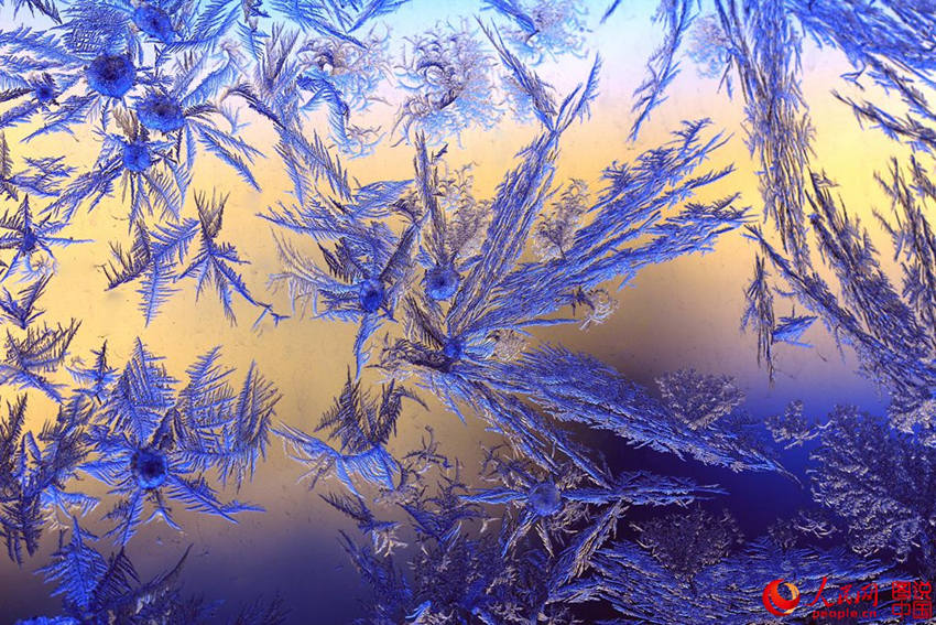 ?? ????? ?? ? ?? ‘???’ ??