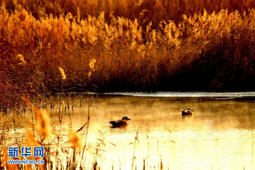 ?? ?? ???????? ?? ???, ?? ??