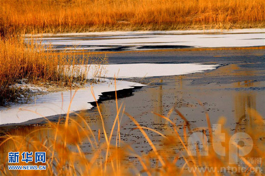 ?? ?? ???????? ?? ???, ?? ??