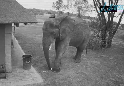 ?? ??? ?? ????? ?? ??? “?? ??? ? ???” 