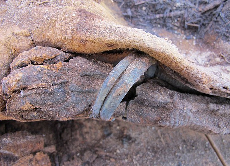 ???? 1500?前 100?? ?? ???? ??