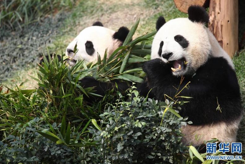 中 ????, ?????? ?? ?? ???? ??  