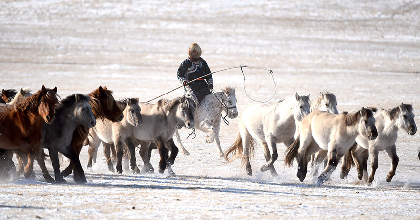 ???? ‘?? ????’, ?? ??? ? ?? ??