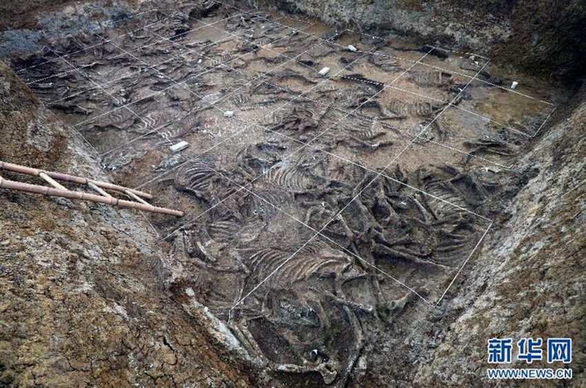 ???? 2700?前 ???? ?? ?? ??