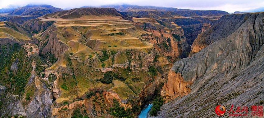 ??? ???? ??? ‘??’ ??? ??