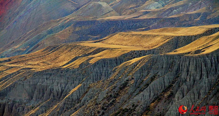 ??? ???? ??? ‘??’ ??? ??