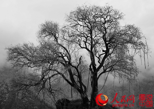 ?? ?? ‘????’, ????? ?? ???