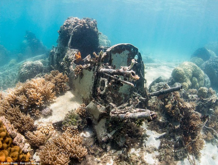 ?? ?? ?? 日?? ?? ‘?? ??’? ??