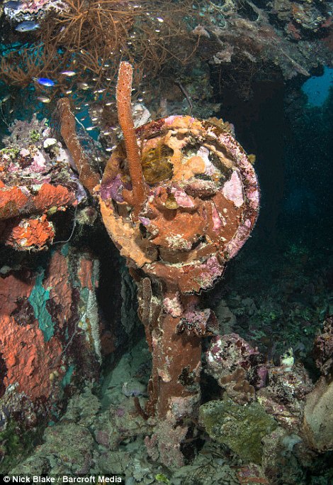 ?? ?? ?? 日?? ?? ‘?? ??’? ??