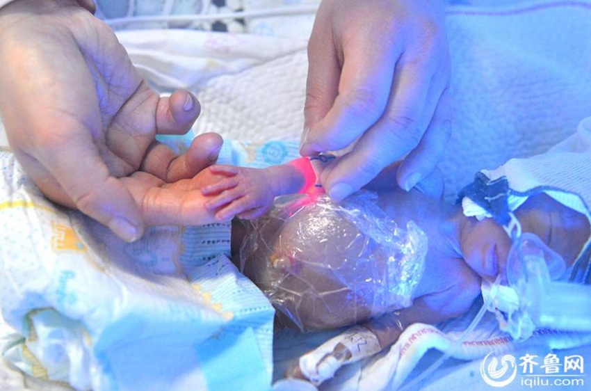 ?? ??? ????? ??, ?? ?? ?? ?? 500g