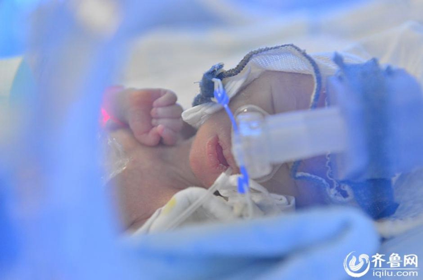 ?? ??? ????? ??, ?? ?? ?? ?? 500g