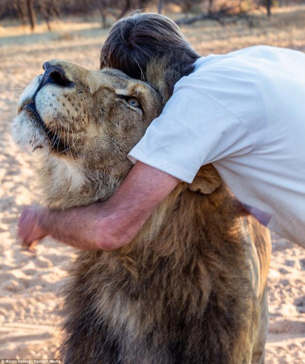 ????? ?? ???, ???? 11? ? ??