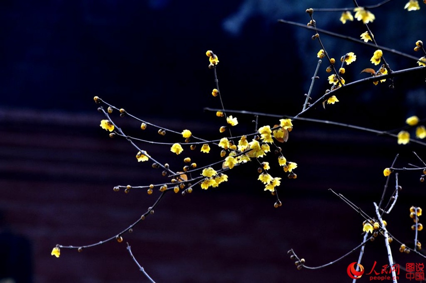 ?? ??? ?? ?? ??, ‘????’? ?? ??