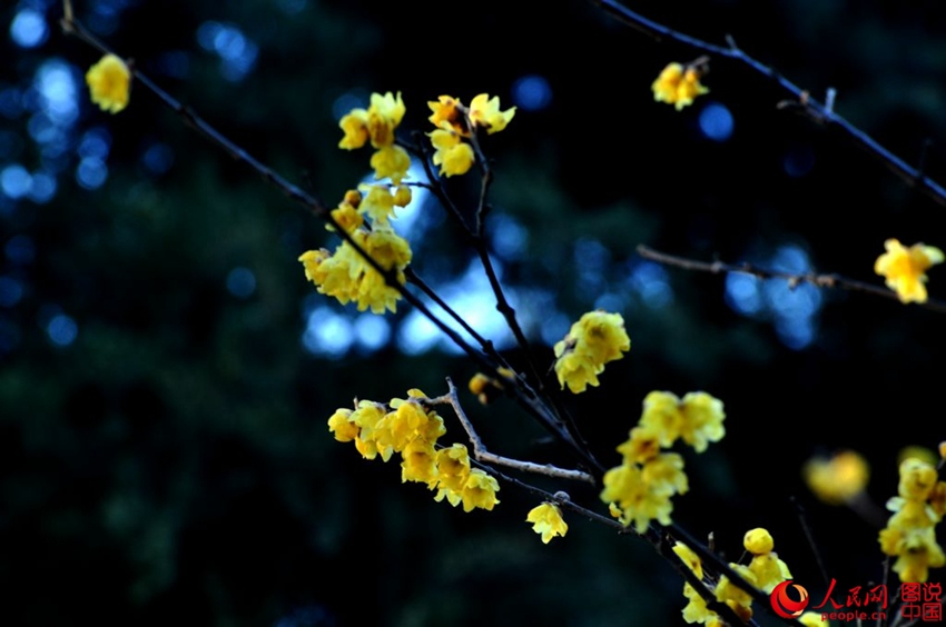 ?? ??? ?? ?? ??, ‘????’? ?? ??